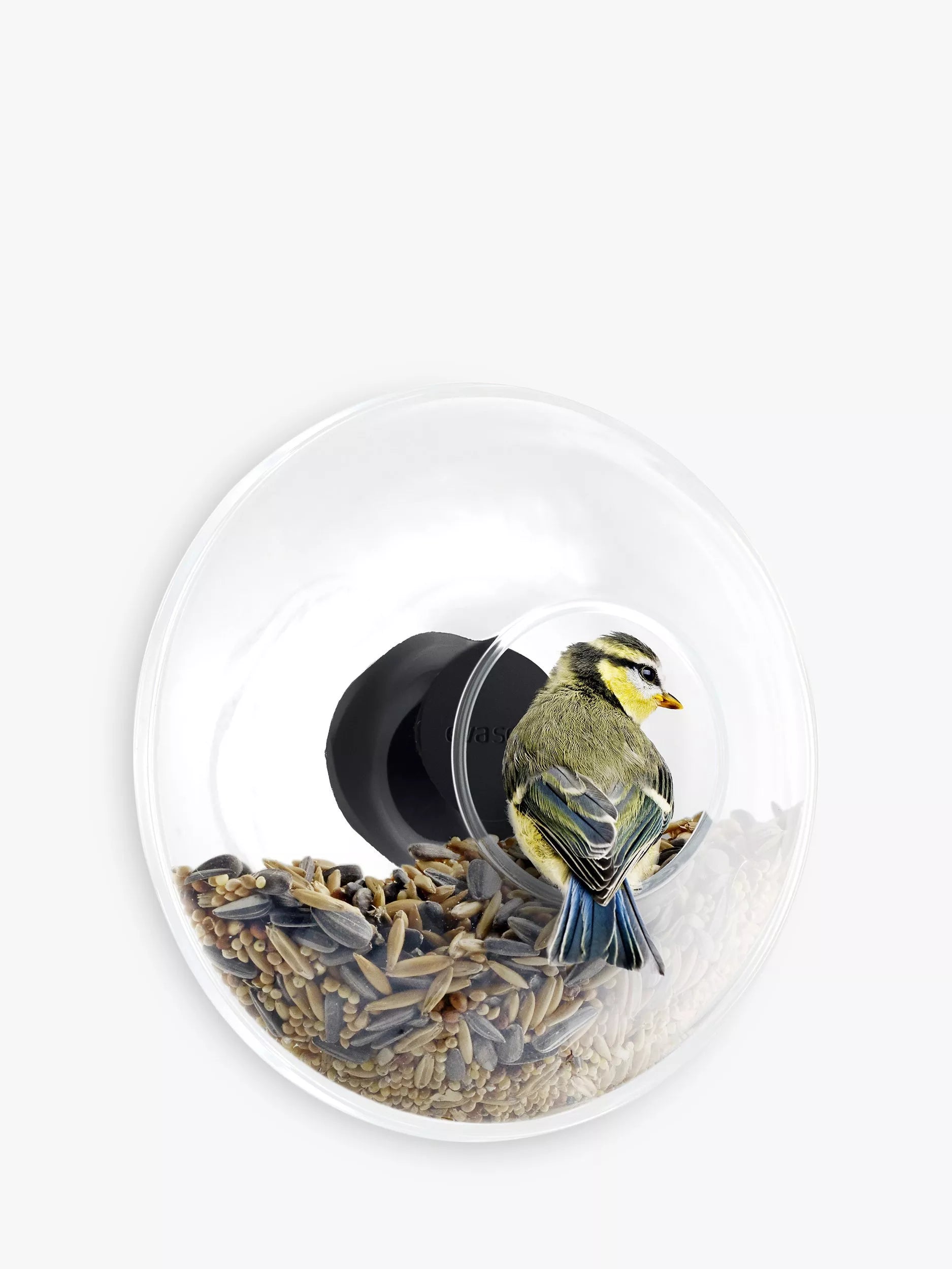 Eva Solo glass window bird feeder for small birds - British product