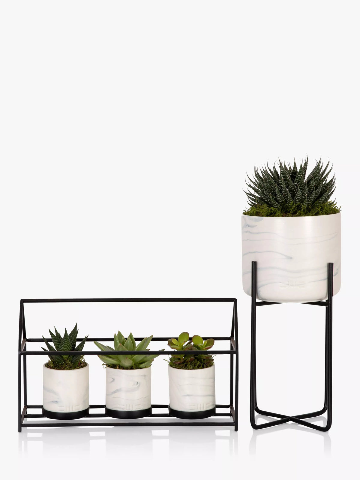 The Little Botanical succulent trio in marble pots with metal stand (British brand)