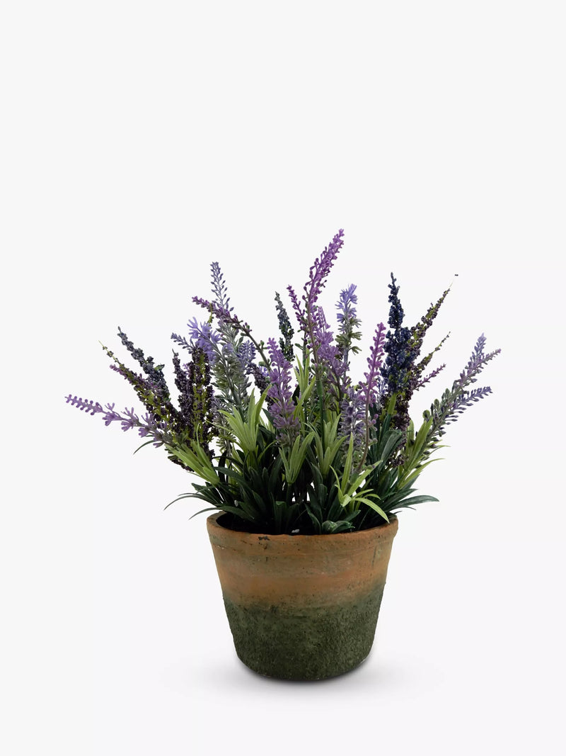 John Lewis artificial lavender cement planter, UK version