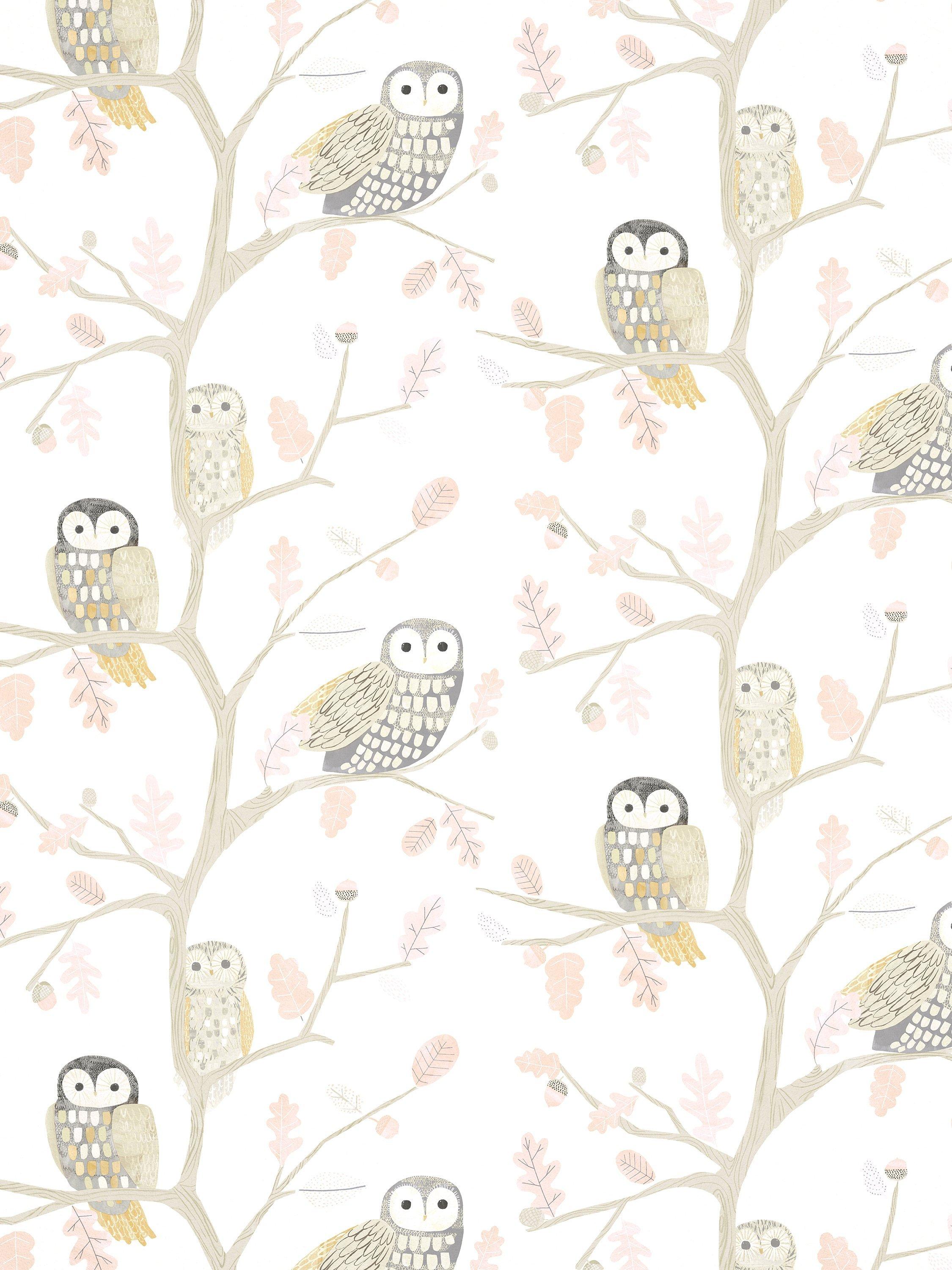Harlequin Little Owls Wallpaper - Hltf112628