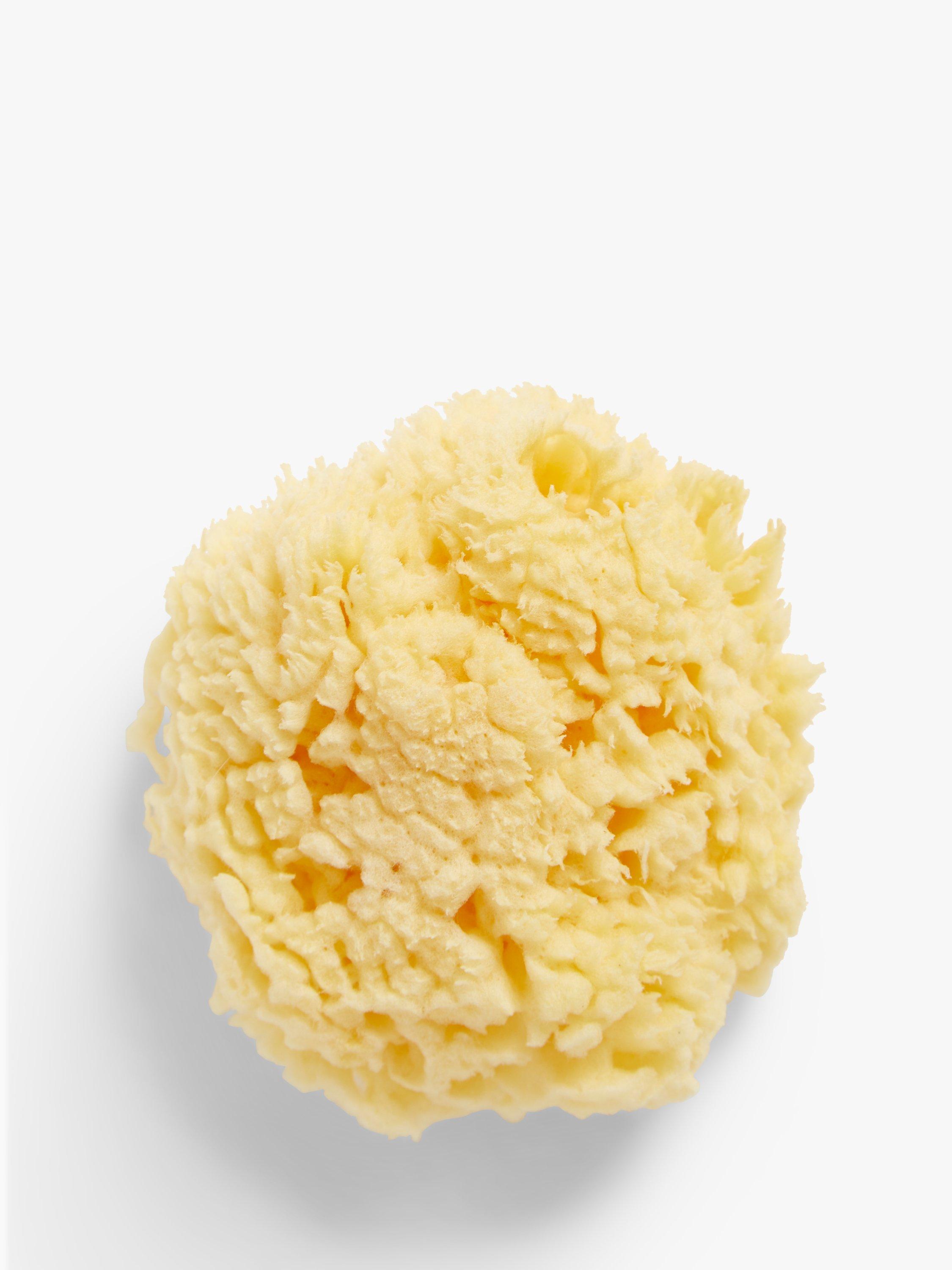 John Lewis baby bathing natural sponge 10cm, UK version