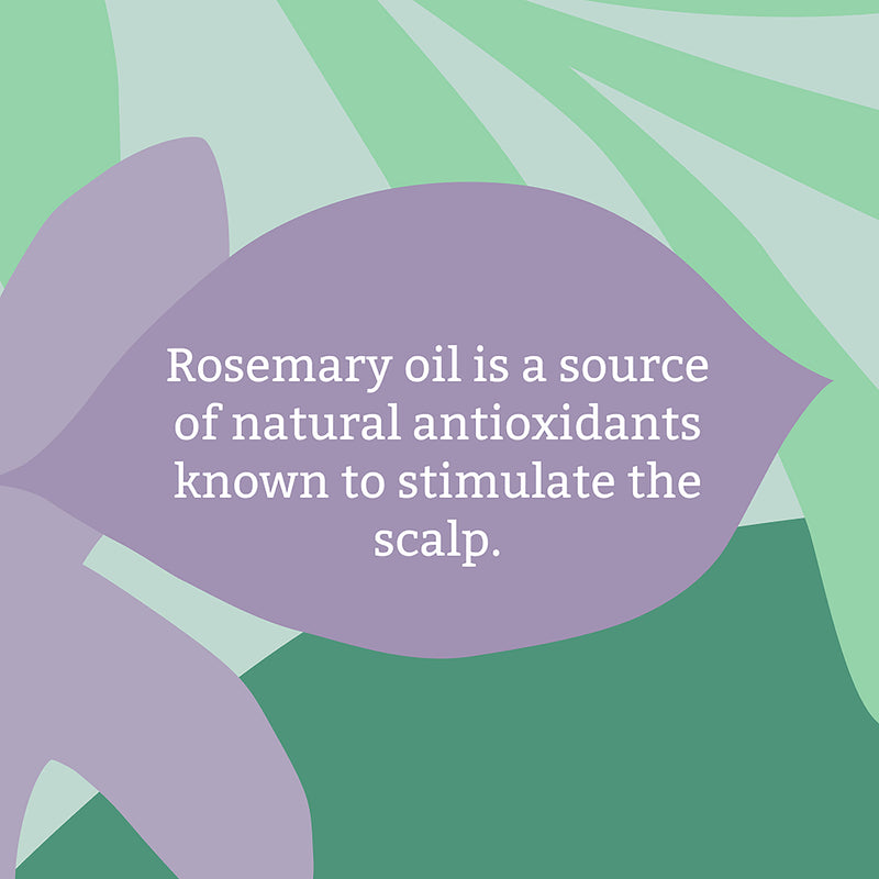 Faith in Nature Rosemary Conditioner 5L