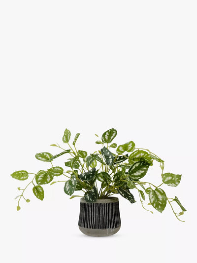 Artificial Golden Pothos Plant in Black Pot