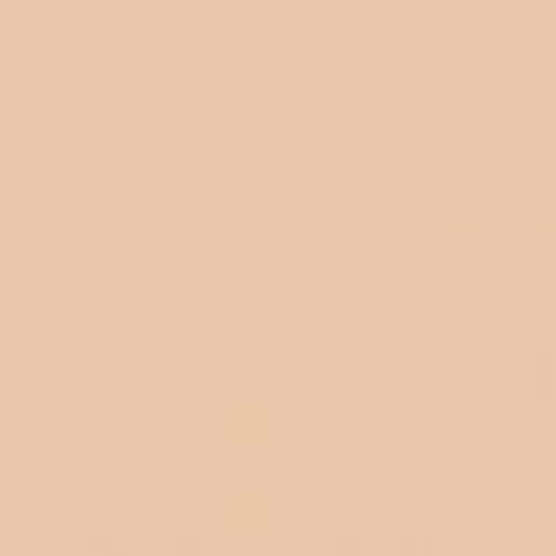 DIOR Forever Natural Nude Foundation - McGrocer