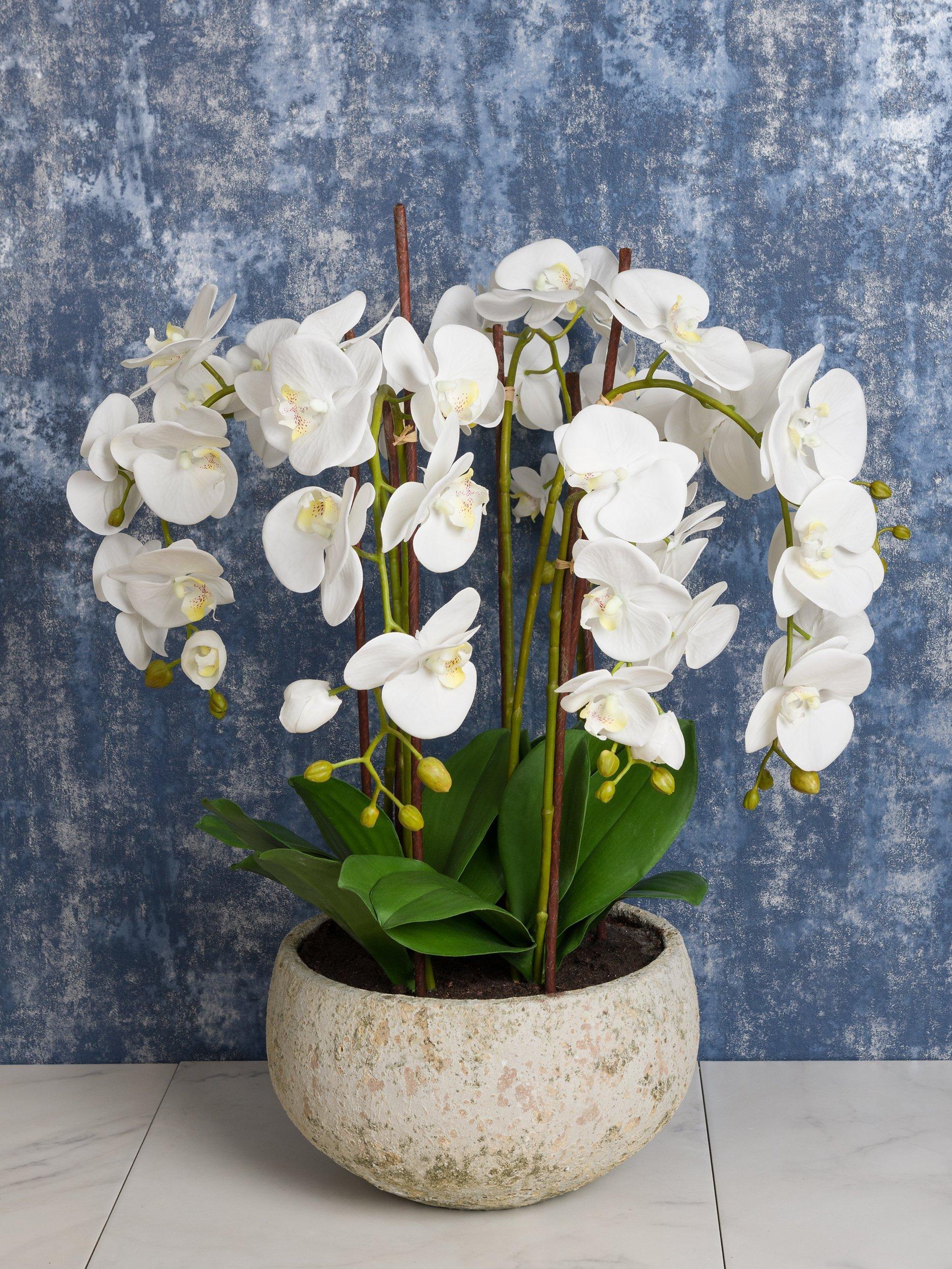 Floralsilk artificial white orchid in clay pot - British product