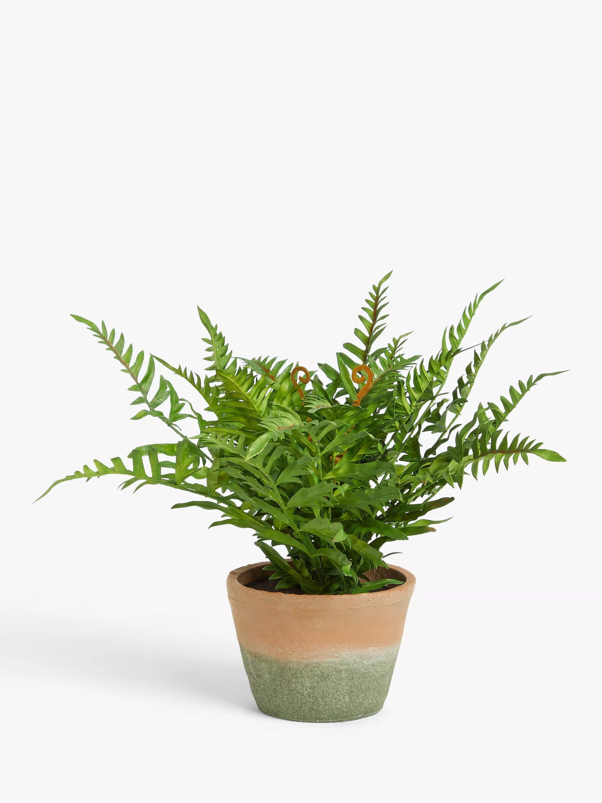 John Lewis artificial fern bush in terracotta pot, UK version