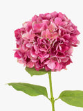 Floralsilk artificial French hydrangea silk flower - British product