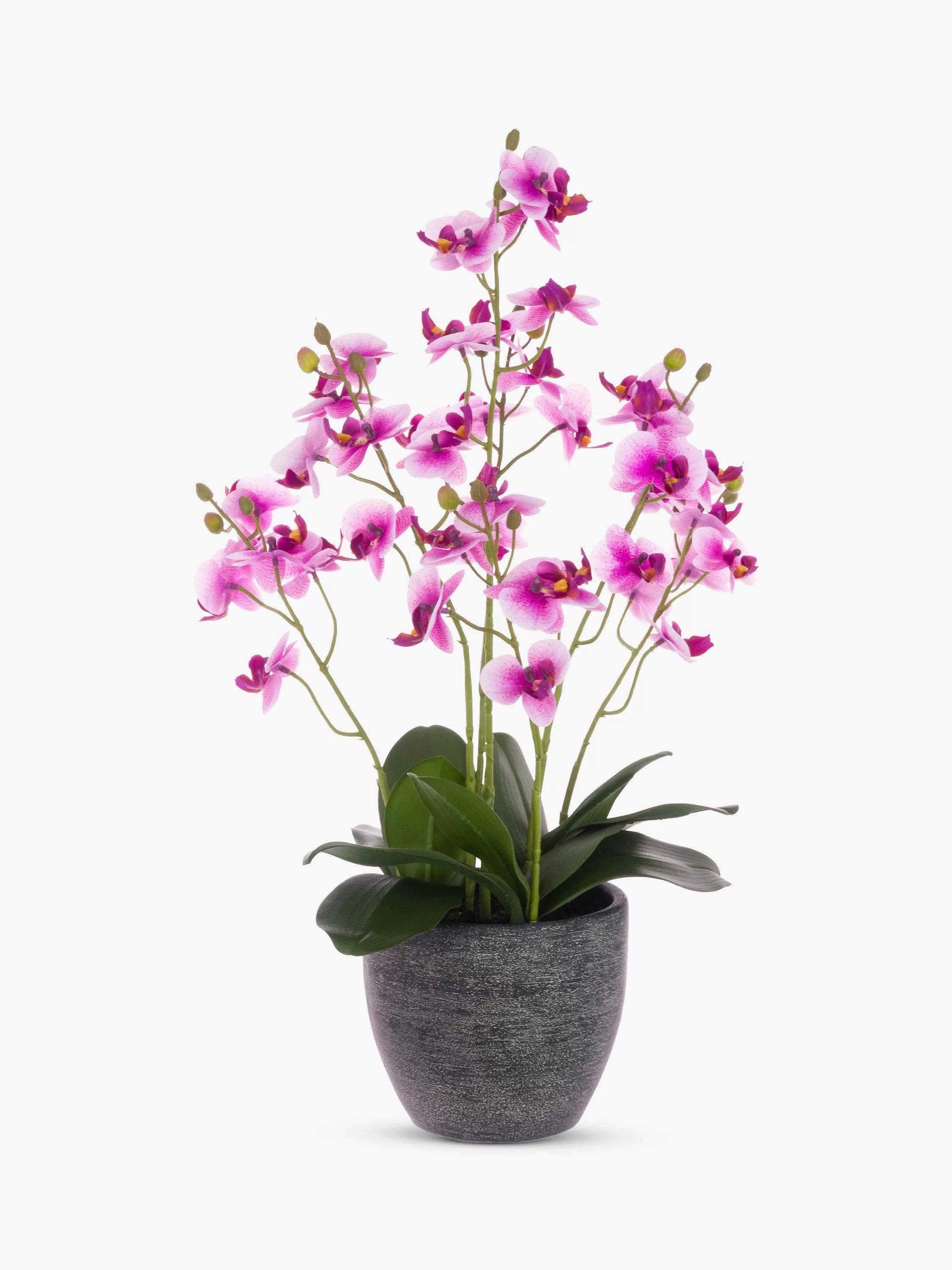 Floralsilk Artificial Orchid, Deep Pink - McGrocer