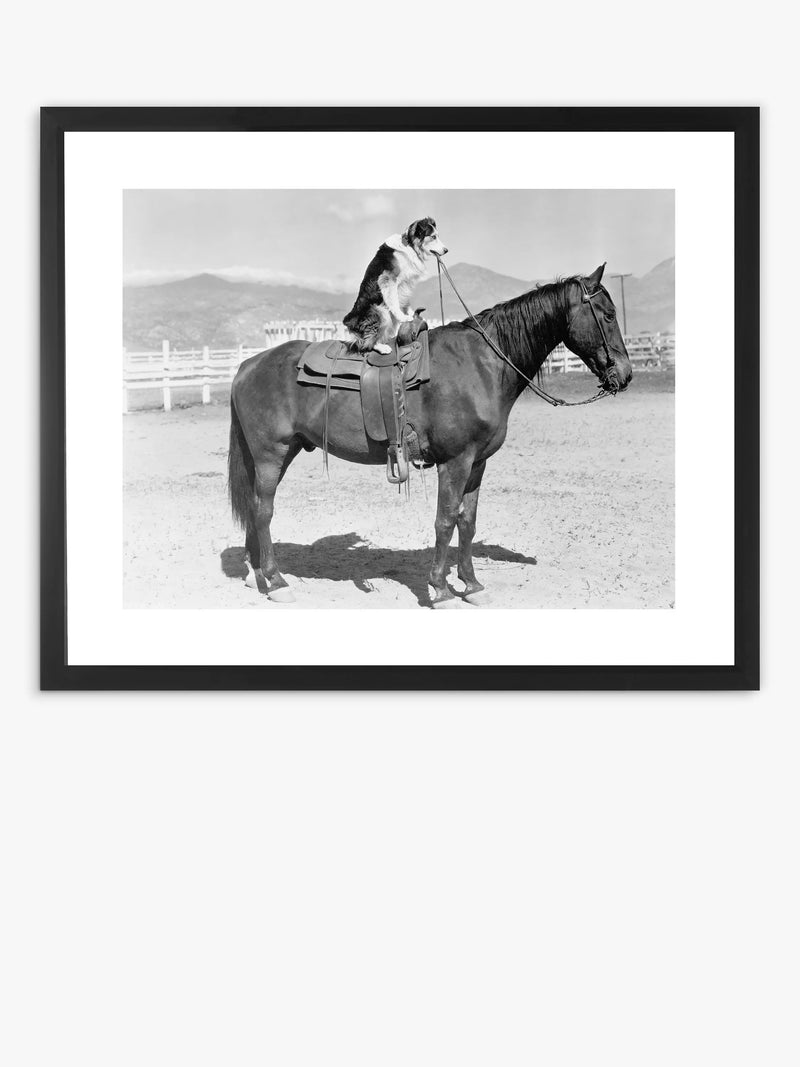 Brookpace Lascelles dog on horseback framed print and mount, 45 x 55.5cm, black and white - British product