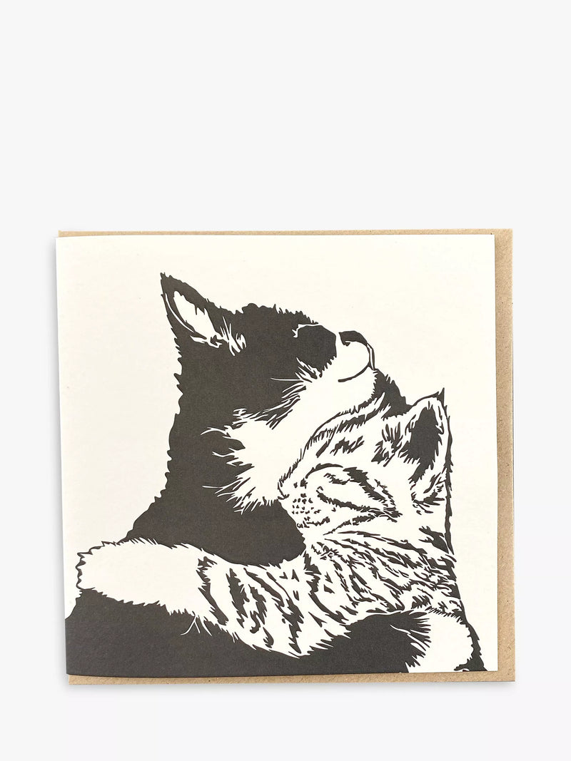 Penguin Ink cats blank greeting card, imported from the UK
