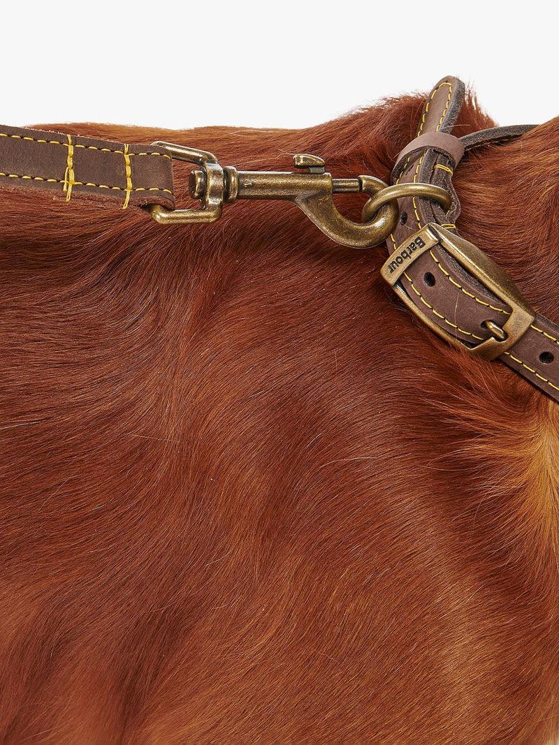 Barbour Leather Dog Lead Mid Brown - British product