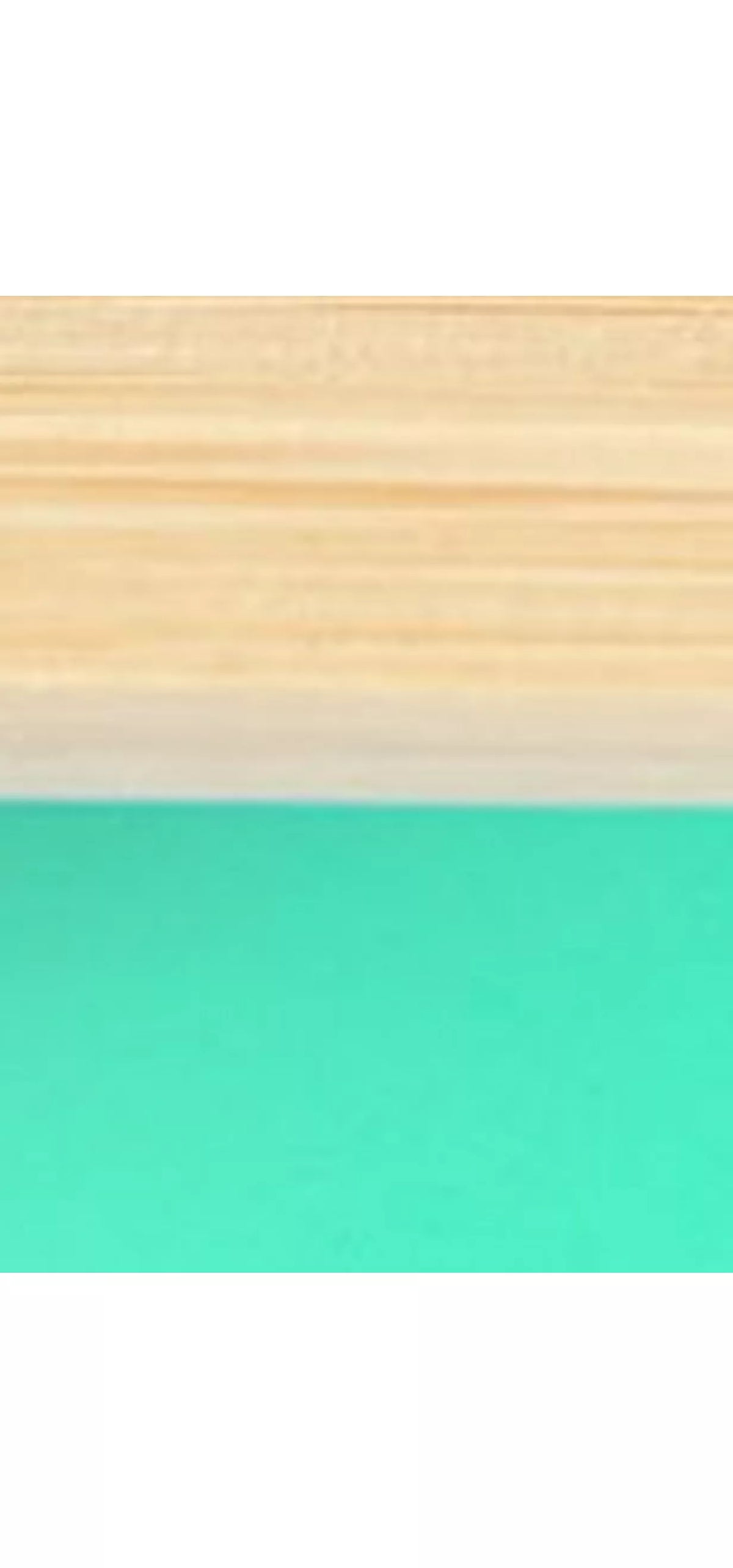 eco rascals Toddler Suction Plate