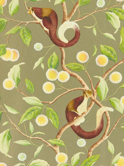 Figurative Wallpaper with Golden Kadamba Flowers and Malabar Giant Squirrel Design