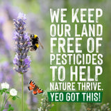 Yeo Valley Organic Fresh Whole Milk   1L