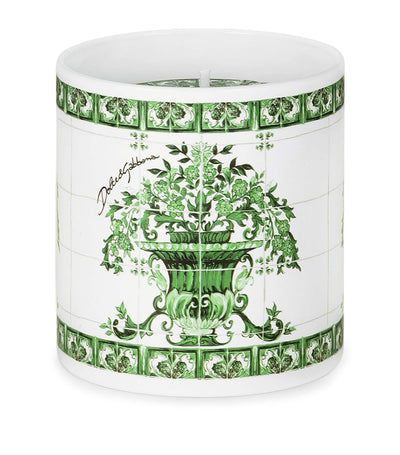 Dolce&Gabbana Casa Majolica Verde Sicilian Neroli & Lemon Scented Candle 380g