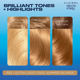 Clairol Nice'N Easy hair dye SB2 Light Summer Blonde - British product