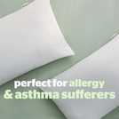 Silentnight Anti Allergy Front Soft Pillows - 2 Pack