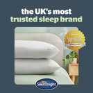 Silentnight Anti Allergy Front Soft Pillows - 2 Pack