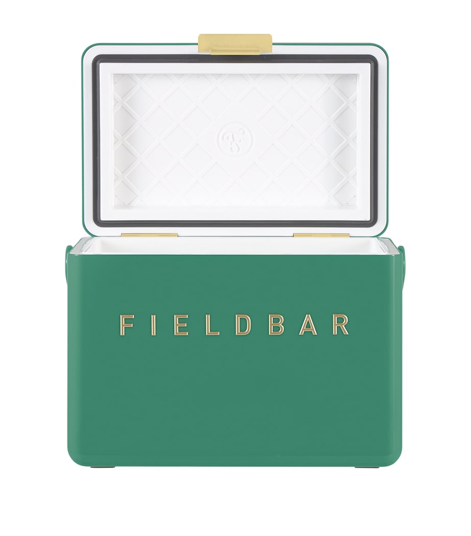 Fieldbar mini bar cooler box with leather sling 4L - British product