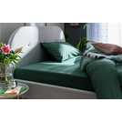 Habitat Cotton Rich 180 TC Leaf Green Fitted Sheet - Double