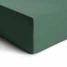 Habitat Cotton Rich 180 TC Leaf Green Fitted Sheet - Double