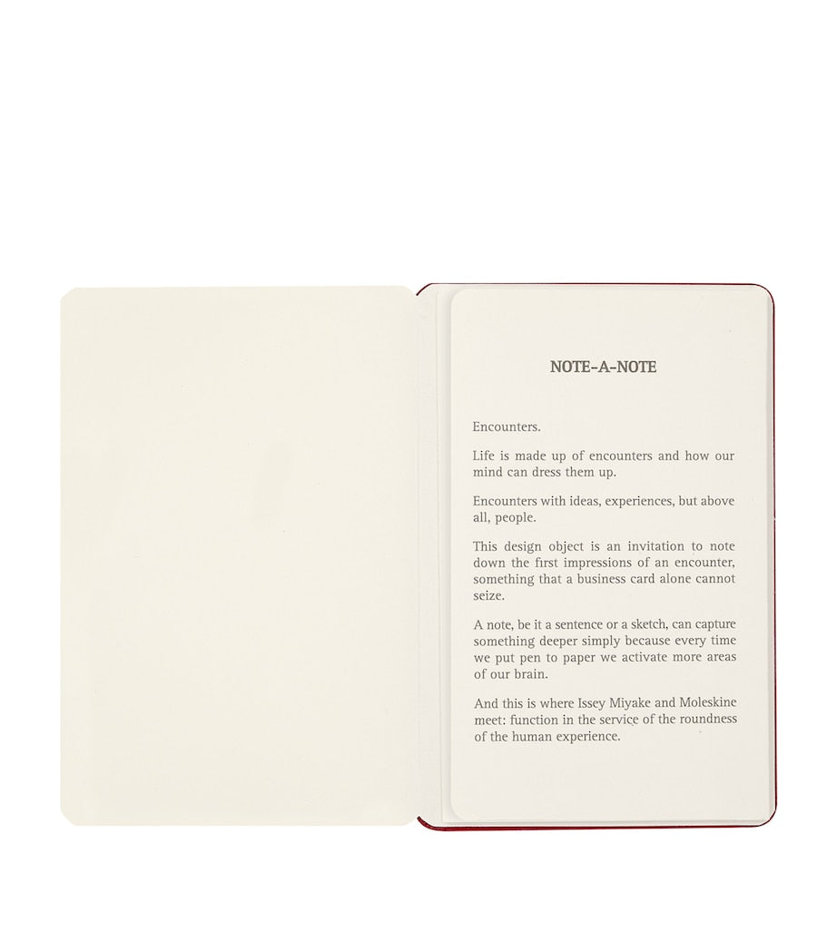 Moleskine Miyake Design Studio business card holder, imported from the UK