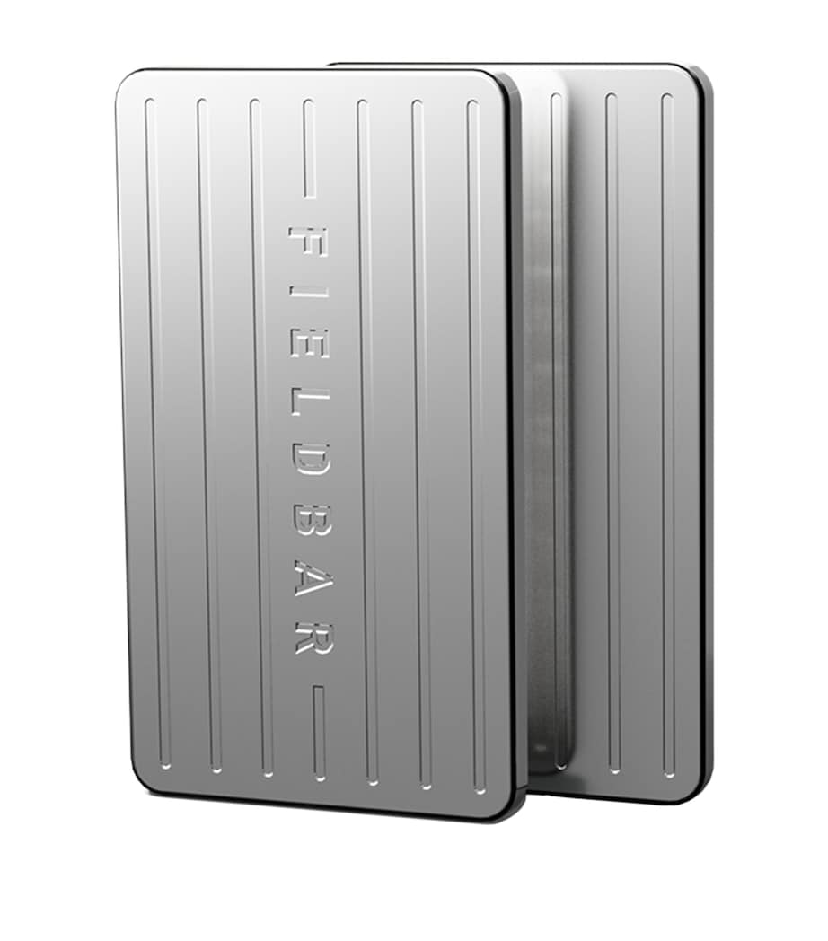 Fieldbar Stainless Steel Ice Bars (Set of 2)
