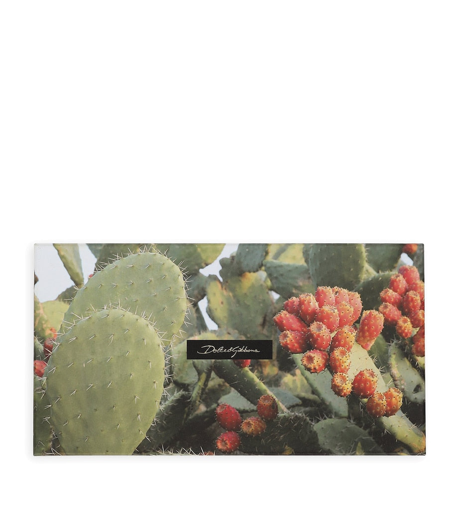 Dolce&Gabbana Casa set of 5 greeting cards - British product