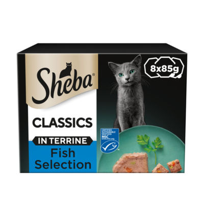 Sheba salmon terrine cat food 8x85g trays (British brand)