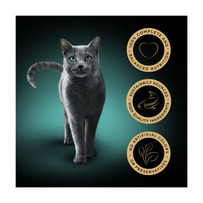 Sheba salmon terrine cat food 8x85g trays (British brand)