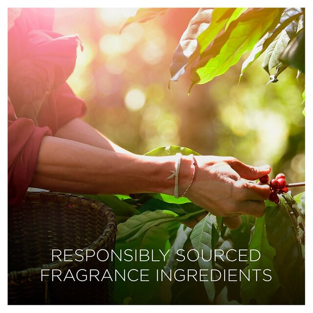 Airwick Botanica Reed Island Rose & African Geranium   80ml - McGrocer