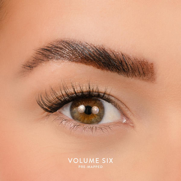 House of Amor Volume 6 - Pre Mapped Multipack