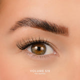 House of Amor Volume 6 - Pre Mapped Multipack