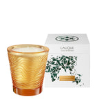 Lalique Jungle Voyage scented candle 750g, UK version