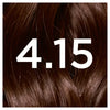 Garnier Nutrisse Iced Coffee Brown hair dye, UK version
