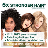 Garnier Permanent Hair Dye Light Ash Blonde, UK version