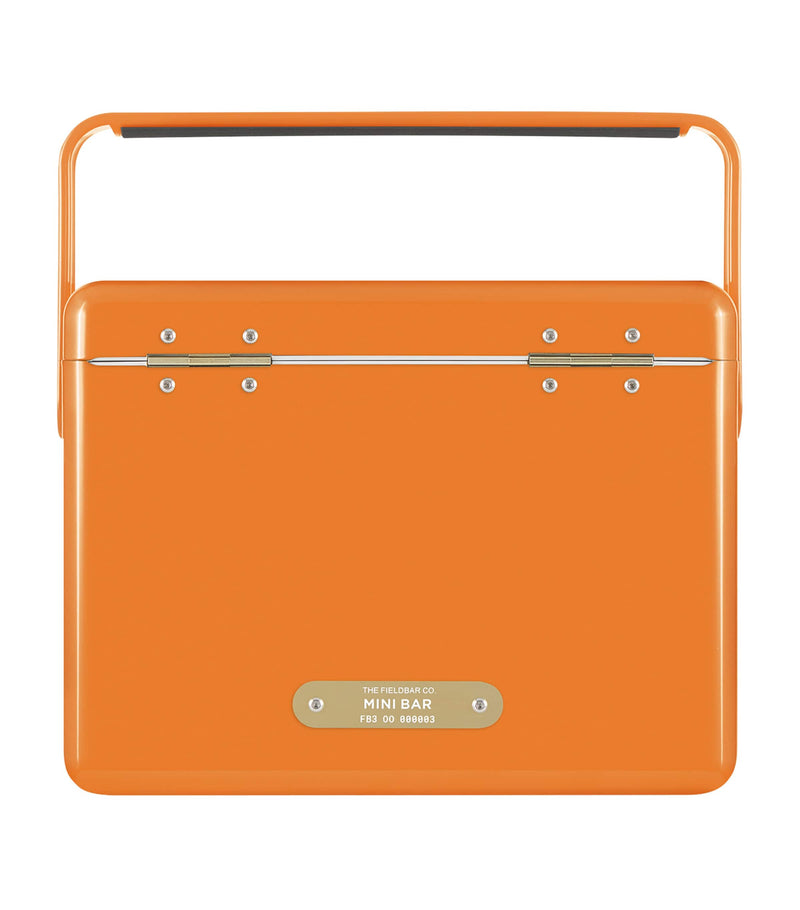 Fieldbar Mini Bar Cooler Box with leather sling 4L - British product