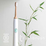 Truthbrush Bamboo Toothbrush Heads 2 Pack Medium Bristles (British brand)