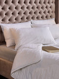 Snuggledown medium back sleeper white pillow (British brand)