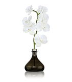 Senti Orchid White Flowers reed diffuser 250ml (British brand)