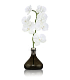 Senti Orchid Jasmine and Geranium diffuser 250ml (British brand)