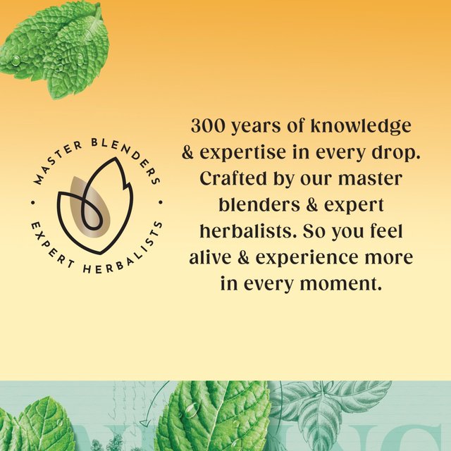 Twinings Peppermint Tea   20 per pack GOODS M&S   