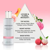 DNR Scentology Lychee & Floral Body Mist 200ml - British product