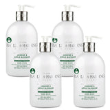 Baylis & Harding Hand Wash with 2 varieties 4 x 500ml - British product