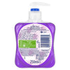 Carex Gruffalo Forest Fruits Handwash 250ml - British product