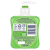 Carex Aloe Vera Hand Wash 250ml - British product