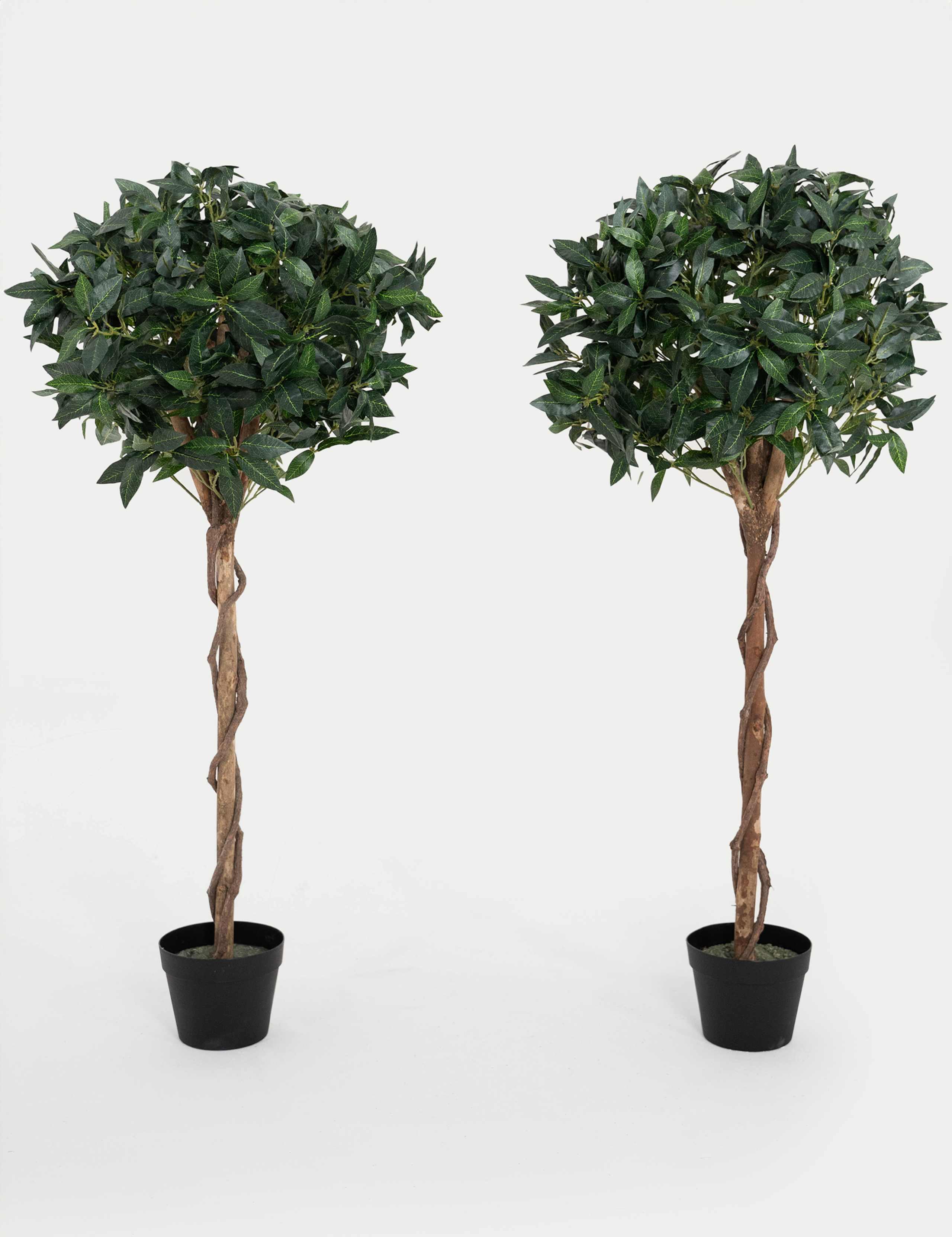 Blooma Artificial Bay Trees Set of 2 120cm (British brand)