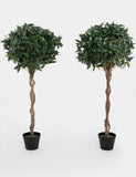 Blooma Artificial Bay Trees Set of 2 120cm (British brand)