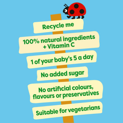 Heinz pear baby food puree for 6+ months 100g, UK version