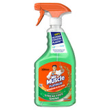 Mr Muscle Window & Glass Spray Platinum 750ml, imported from the UK
